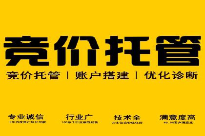 百度竞价排名服务：实战案例解析与优化技巧